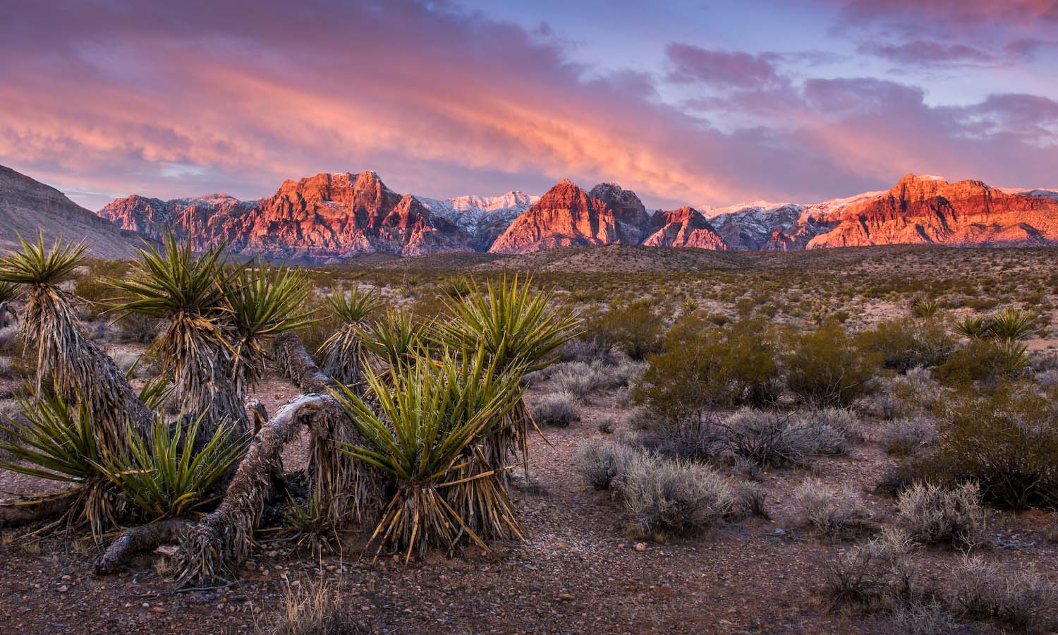 Nevada