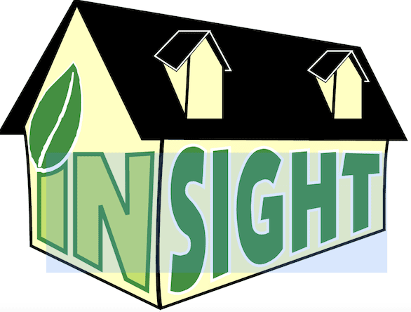 Insight logo