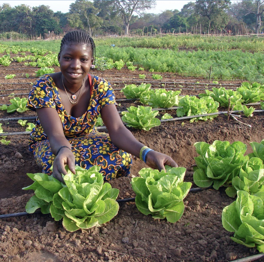 A farmer in the village of Bessassi shows off her lettuce crops. (Credit: Solar Electric Light Fund)